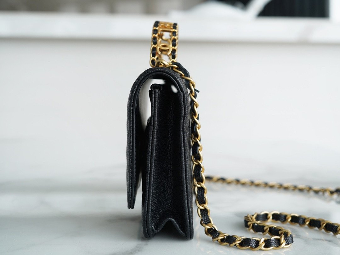 Chanel 22P Spring/Summer Collection The Iconic Top Handle Wallet on Chain (WOC) 19cm Flap Bag 7