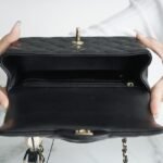 CHANEL 2022P Limited Edition Mini CF Top Handle Bag with 3D Lion Charm 8