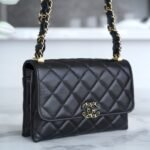 CHANEL 23K Autumn/Winter Collection The Wide Strap Crinkled Calfskin Flap Bag 18cm 8