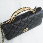 Chanel 22P Spring/Summer Collection The Iconic Top Handle Wallet on Chain (WOC) 19cm Flap Bag 8