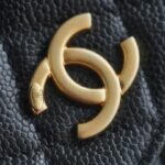 Chanel 22P Spring/Summer Collection The Iconic Top Handle Wallet on Chain (WOC) 19cm Flap Bag 9