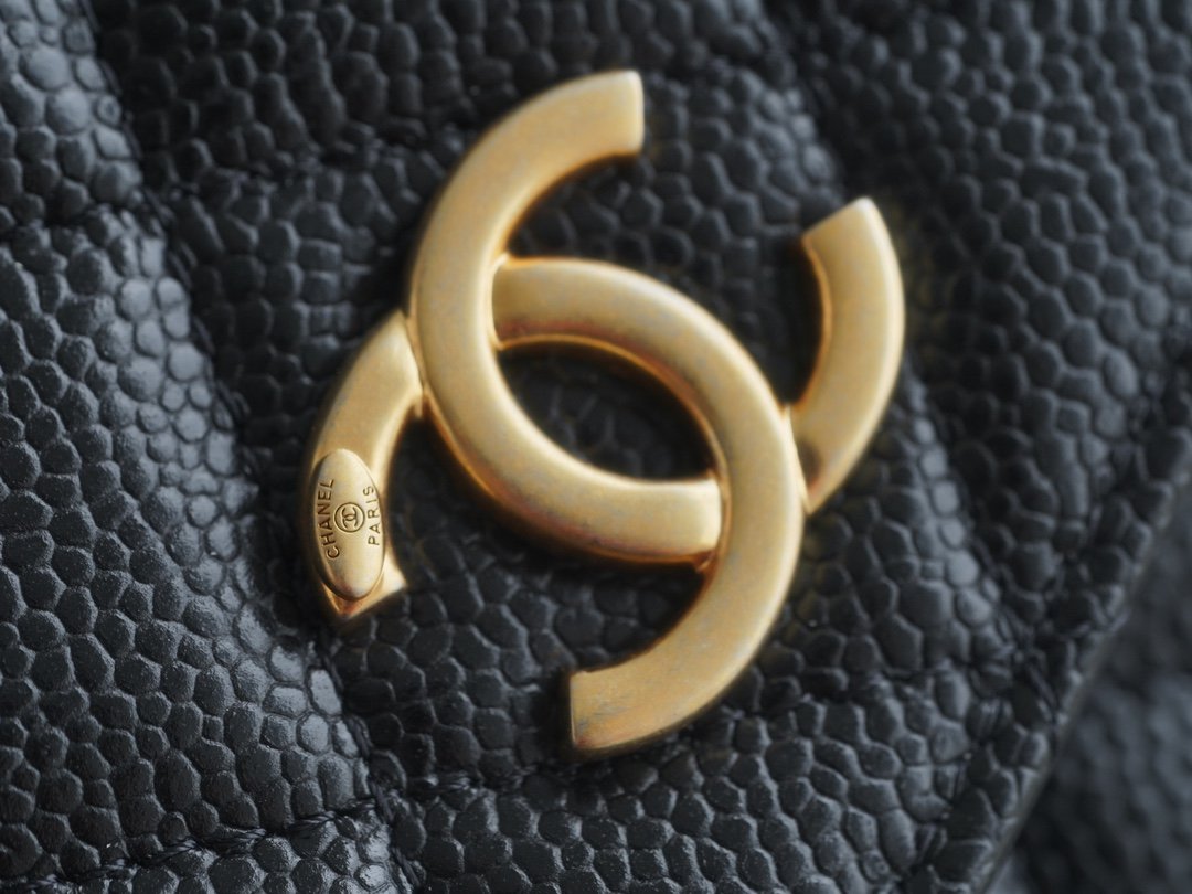 Chanel 22P Spring/Summer Collection The Iconic Top Handle Wallet on Chain (WOC) 19cm Flap Bag 9
