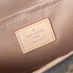Louis Vuitton Cluny Mini Monogram Handbag 20cm The Perfect Intersection of Structured Elegance and Modern Street Style 9
