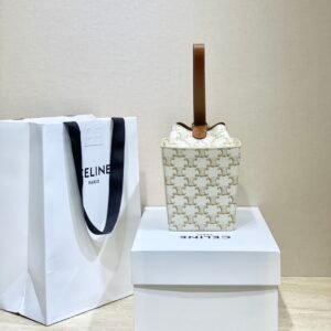 CELINE Triomphe Canvas Strap Box Small Handbag 2021 Winter Runway Collection 10.5×14.5cm 1