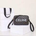 CELINE Triomphe Canvas Camera Bag 23cm Luxury Designer Crossbody Messenger Bag with White Logo & Calfskin Leather 1
