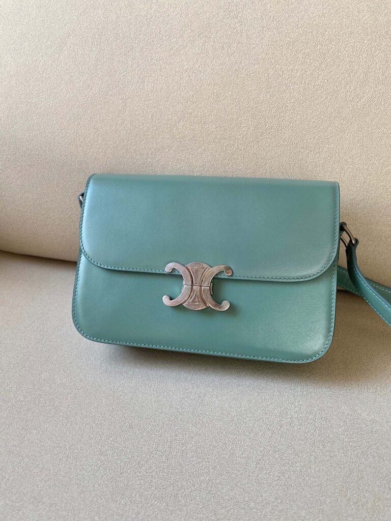Celine Triomphe Bag 22.5cm Medium Shiny Calfskin Shoulder Bag 5 Colors – Image 1