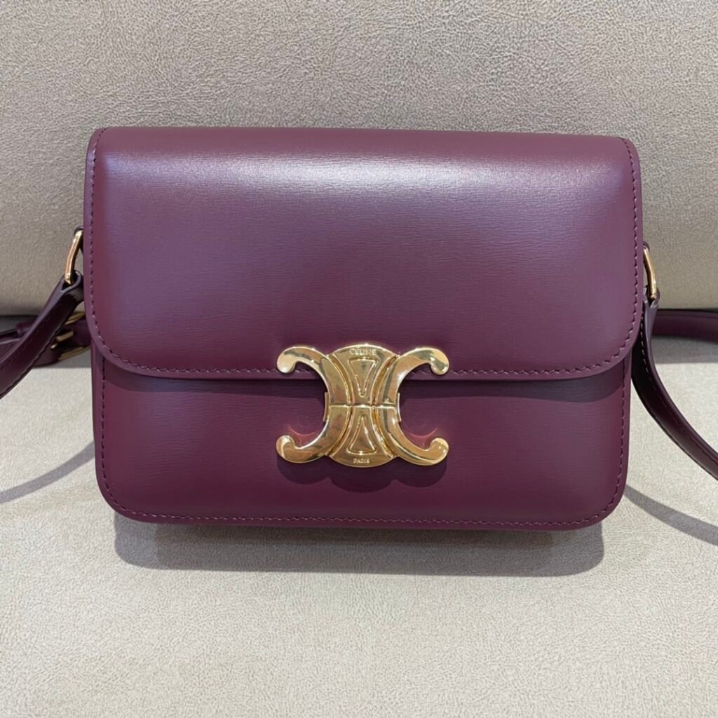 CELINE Triomphe Bag 18.5cm Shoulder Handbags 5 Colors Shiny Calfskin Triomphe – Image 3
