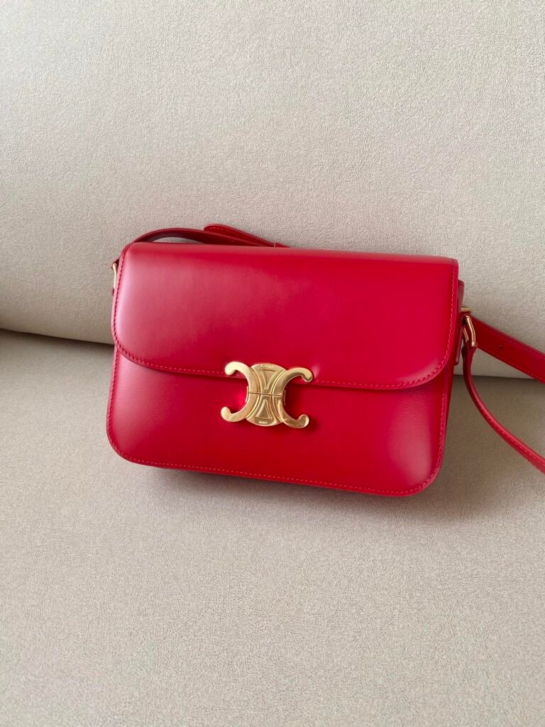 Celine Triomphe Bag 22.5cm Medium Shiny Calfskin Shoulder Bag 5 Colors – Image 3