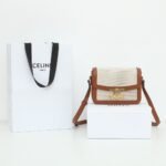CELINE Teen Triomphe Bag 18.5cm Textile and Calfskin Designer Crossbody Shoulder Bag for Women 4 Colors 10