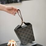 CELINE Triomphe Canvas Strap Box Small Handbag 2021 Winter Runway Collection 10.5×14.5cm 11