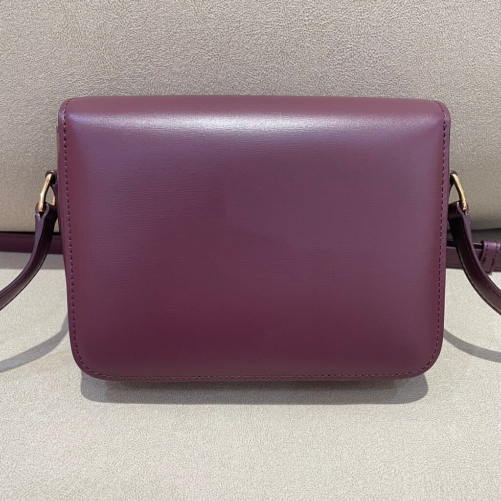 CELINE Triomphe Bag 18.5cm Shoulder Handbags 5 Colors Shiny Calfskin Triomphe – Image 4