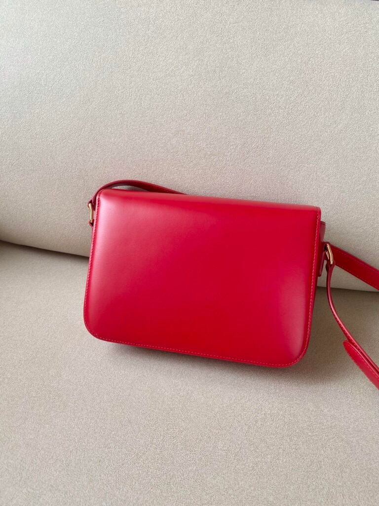 Celine Triomphe Bag 22.5cm Medium Shiny Calfskin Shoulder Bag 5 Colors – Image 4