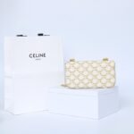 Celine Triomphe Chain Shoulder Bag 20.5cm Canvas and Calfskin Luxury Designer Crossbody for Women 12
