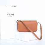 Celine Triomphe Bag Shiny Calfskin Leather Shoulder Bag 5 Colors Smooth Lambskin Crossbody for Women 12