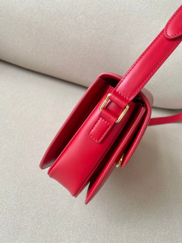 Celine Triomphe Bag 22.5cm Medium Shiny Calfskin Shoulder Bag 5 Colors – Image 5