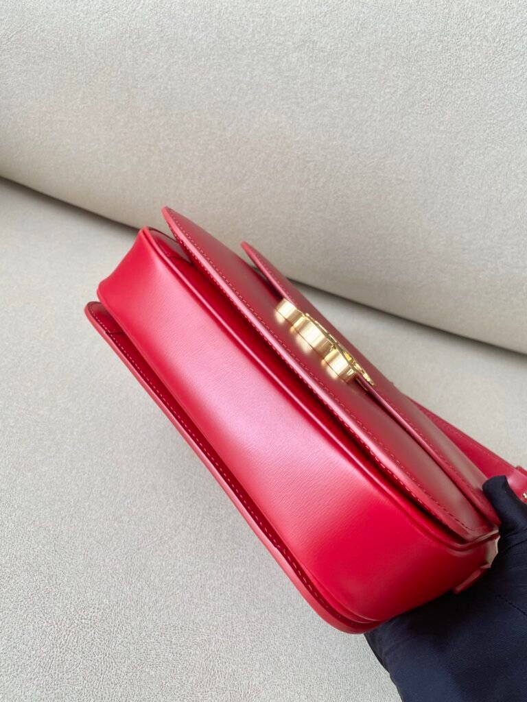 Celine Triomphe Bag 22.5cm Medium Shiny Calfskin Shoulder Bag 5 Colors &ndash; Image 6