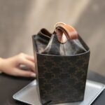 CELINE Triomphe Canvas Strap Box Small Handbag 2021 Winter Runway Collection 10.5×14.5cm 14