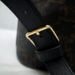 CELINE Triomphe Canvas & Calfskin Folco Backpack 23x30x16cm Timeless Vintage Drawstring Rucksack 14