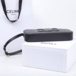 CELINE New SS 2022 Triomphe Embossed Calfskin Camera Shoulder Bag 26cm Minimalist Luxury Underarm Bag 17