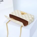 Celine Triomphe Chain Shoulder Bag 20.5cm Canvas and Calfskin Luxury Designer Crossbody for Women 17