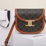 CELINE Teen Besace Triomphe Bag 18.5cm Shiny Calfskin Leather Crossbody Saddle Bag for Women 19