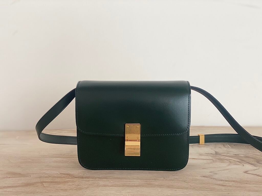 Celine Classic Box Bag 18.5cm Teen Size 8 Colors Minimalist Crossbody Polished Calfskin – Image 5