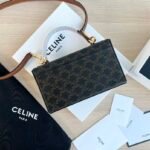 CELINE Box Triomphe Bag 22cm Shiny Calfskin and Triomphe Canvas Leather Shoulder and Crossbody Handbag with Gold-Finish Metallic Closure 2