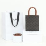 Celine Mini Vertical Cabas Triomphe Canvas Tote Bag 17x21cm Luxury Italian Leather Crossbody Handbag for Women 2