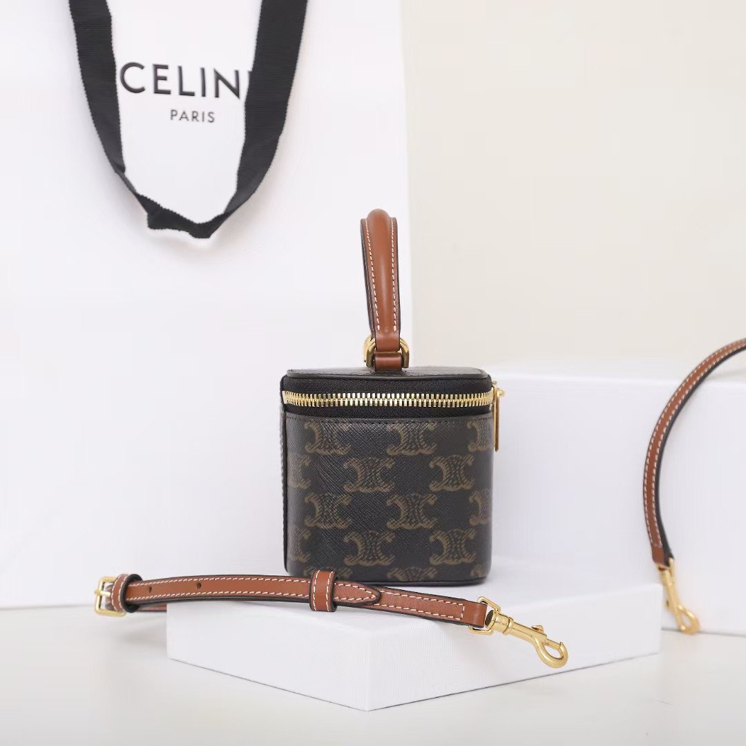CELINE Mini Vanity Case 9.5cm Triomphe Canvas with Calfskin Leather Small Crossbody Vanity Box Bag 2