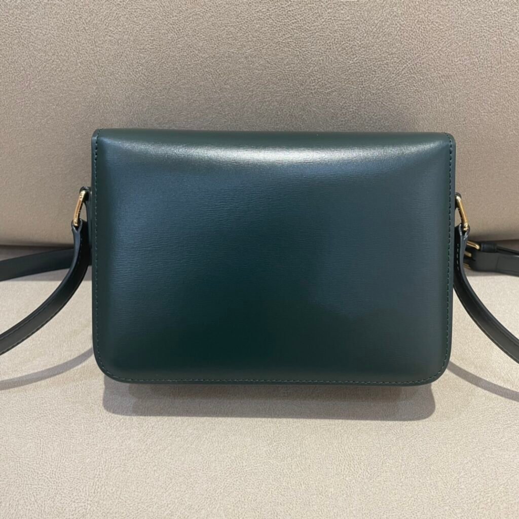 CELINE Triomphe Bag 18.5cm Shoulder Handbags 5 Colors Shiny Calfskin Triomphe – Image 2