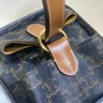 CELINE Triomphe Canvas Strap Box Small Handbag 2021 Winter Runway Collection 10.5×14.5cm 20