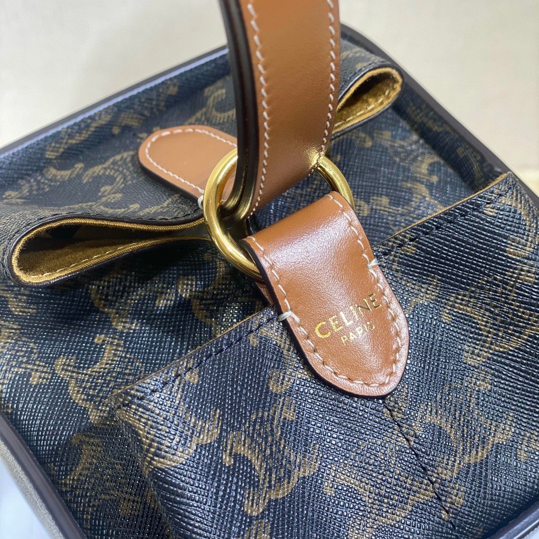 CELINE Triomphe Canvas Strap Box Small Handbag 2021 Winter Runway Collection 10.5×14.5cm 20
