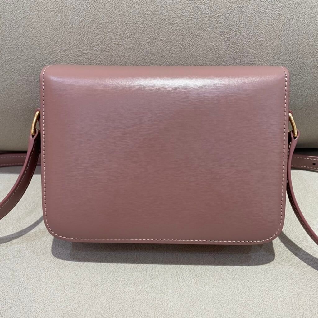 CELINE Triomphe Bag 18.5cm Shoulder Handbags 5 Colors Shiny Calfskin Triomphe – Image 6