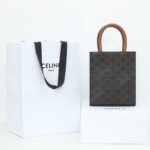 Celine Mini Vertical Cabas Triomphe Canvas Tote Bag 17x21cm Luxury Italian Leather Crossbody Handbag for Women 22