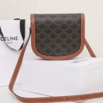 CELINE Teen Besace Triomphe Bag 18.5cm Shiny Calfskin Leather Crossbody Saddle Bag for Women 22
