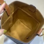 CELINE Triomphe Canvas Strap Box Small Handbag 2021 Winter Runway Collection 10.5×14.5cm 23