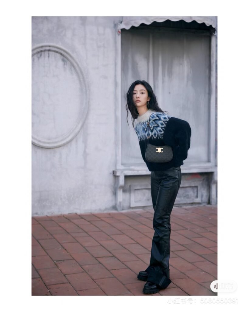 CELINE TILLY Bag 2024 Shiny Calfskin &amp; Triomphe Canvas Shoulder Bag Black/Tan 23cm &ndash; Image 11