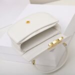Celine Mini Besace Triomphe Bag 15.5cm Shiny Calfskin Top Handle Saddle Bag Premium Grade Crossbody 26