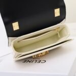CELINE Teen Triomphe Bag Shiny Patent Calfskin Luxury Designer Shoulder Bag Gold Triomphe Clasp Crossbody 27