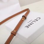 CELINE Triomphe Mini Flap Bags 11cm Luxury Small Crossbody Purse in Calfskin 3 Colors 27