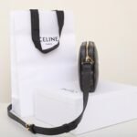 CELINE Triomphe Canvas Camera Bag 23cm Luxury Designer Crossbody Messenger Bag with White Logo & Calfskin Leather 3