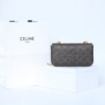 Celine Triomphe Chain Shoulder Bag 20.5cm Canvas and Calfskin Luxury Designer Crossbody for Women 3