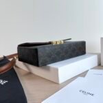 CELINE Box Triomphe Bag 22cm Shiny Calfskin and Triomphe Canvas Leather Shoulder and Crossbody Handbag with Gold-Finish Metallic Closure 3