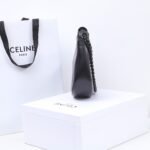 Celine Ava Chain Bag 25cm Smooth Calfskin Moon-Shaped Hobo Bag with Chunky Metal Chain Strap 3