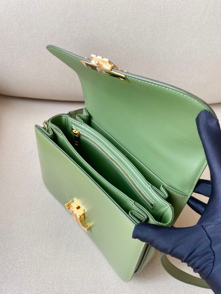 Celine Triomphe Bag 22.5cm Medium Shiny Calfskin Shoulder Bag 5 Colors &ndash; Image 11