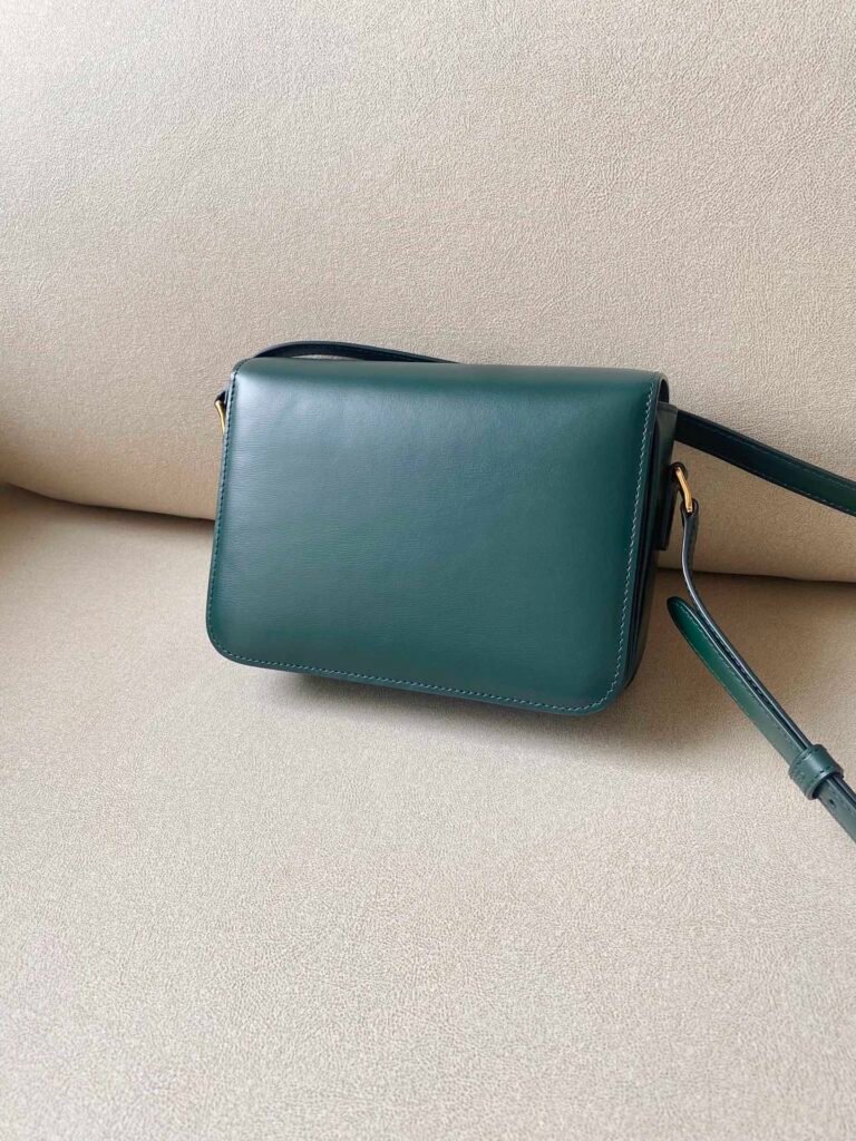 CELINE Triomphe Bag 18.5cm Shoulder Handbags 5 Colors Shiny Calfskin Triomphe &ndash; Image 13