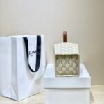 CELINE Triomphe Canvas Strap Box Small Handbag 2021 Winter Runway Collection 10.5×14.5cm 4