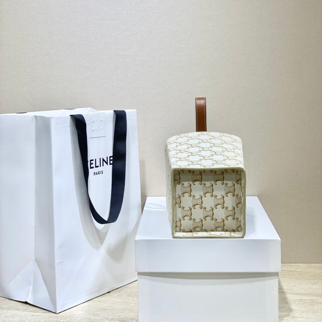 CELINE Triomphe Canvas Strap Box Small Handbag 2021 Winter Runway Collection 10.5×14.5cm 4