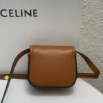 CELINE 2022SS Mini Triomphe Crossbody Bag 11cm Calfskin and Signature Canvas 4