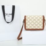 CELINE Teen Triomphe Bag 18.5cm Textile and Calfskin Designer Crossbody Shoulder Bag for Women 4 Colors 4